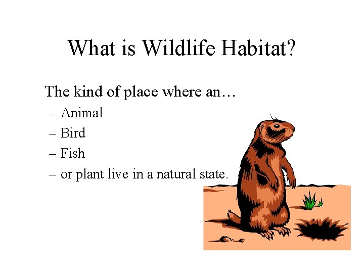 What is Wildlife Habitat? The kind of place where an… – Animal – Bird