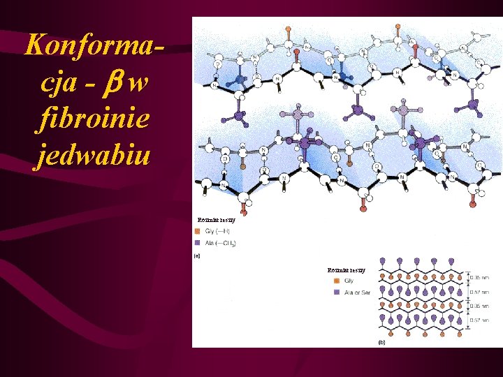 Konformacja - w fibroinie jedwabiu Rozmiar reszty 