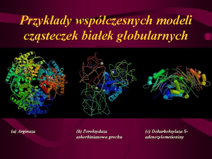 Przykłady współczesnych modeli cząsteczek białek globularnych (a) Arginaza (b) Peroksydaza askorbinianowa grochu (c) Dekarboksylaza