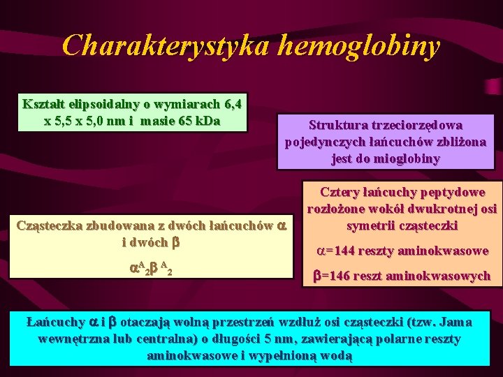 Charakterystyka hemoglobiny Kształt elipsoidalny o wymiarach 6, 4 x 5, 5 x 5, 0