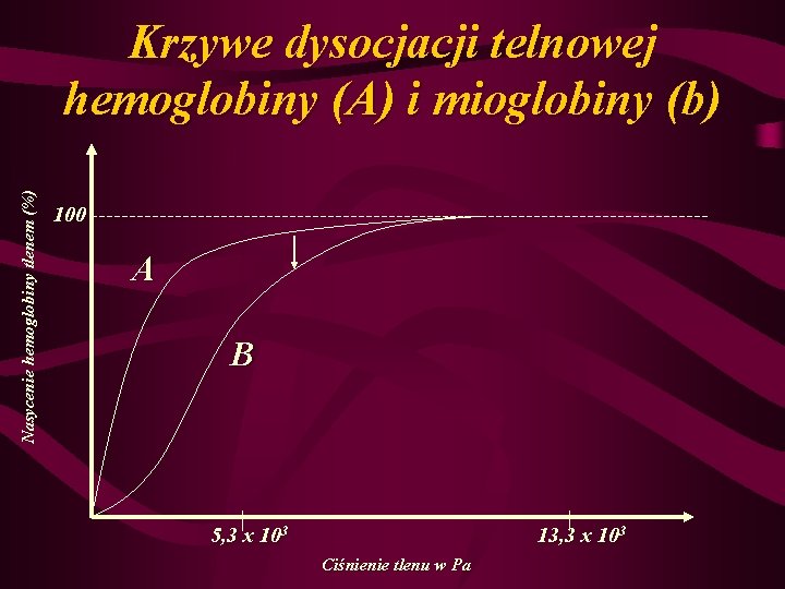 Nasycenie hemoglobiny tlenem (%) Krzywe dysocjacji telnowej hemoglobiny (A) i mioglobiny (b) 100 A