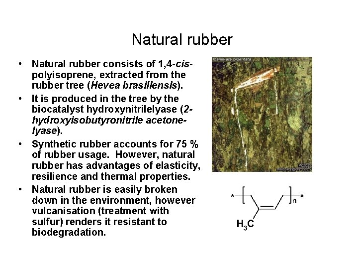 Natural rubber • Natural rubber consists of 1, 4 -cispolyisoprene, extracted from the rubber