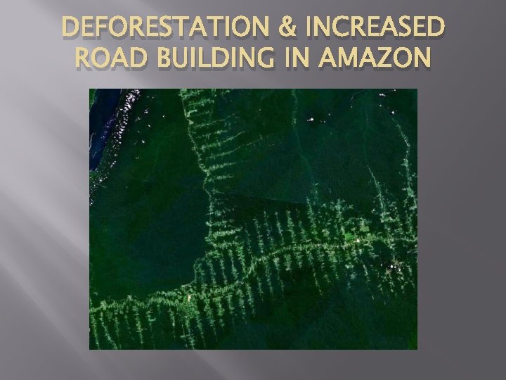 DEFORESTATION & INCREASED ROAD BUILDING IN AMAZON 