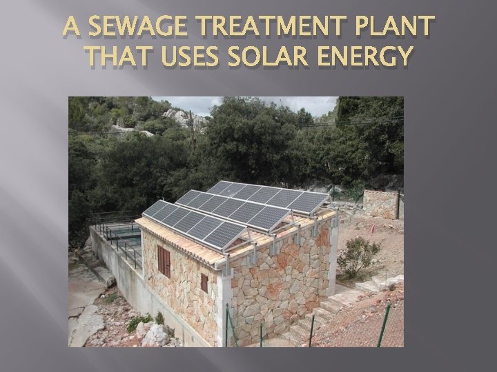 A SEWAGE TREATMENT PLANT THAT USES SOLAR ENERGY 