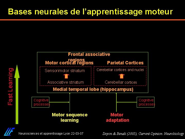 Bases neurales de l’apprentissage moteur Fast Learning Frontal associative regions Motor cortical regions Parietal