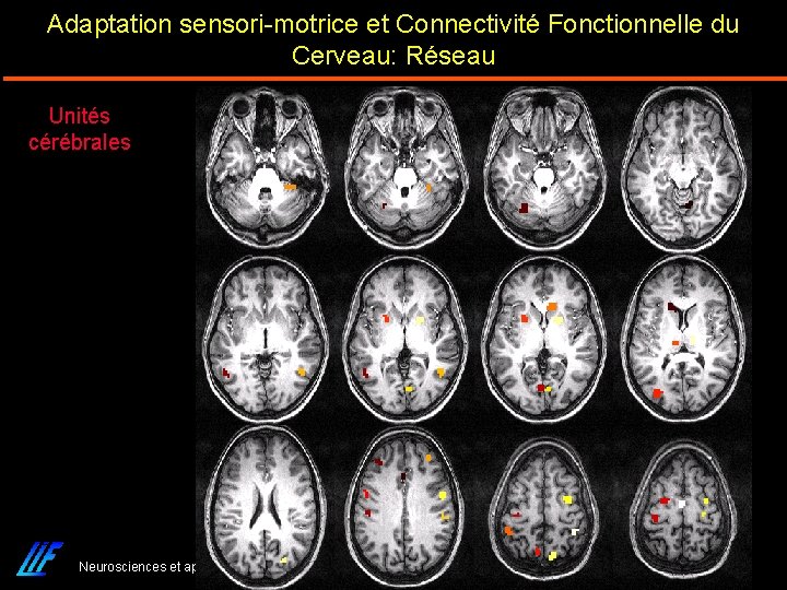 Adaptation sensori-motrice et Connectivité Fonctionnelle du Cerveau: Réseau Unités cérébrales Neurosciences et apprentissage Lyon