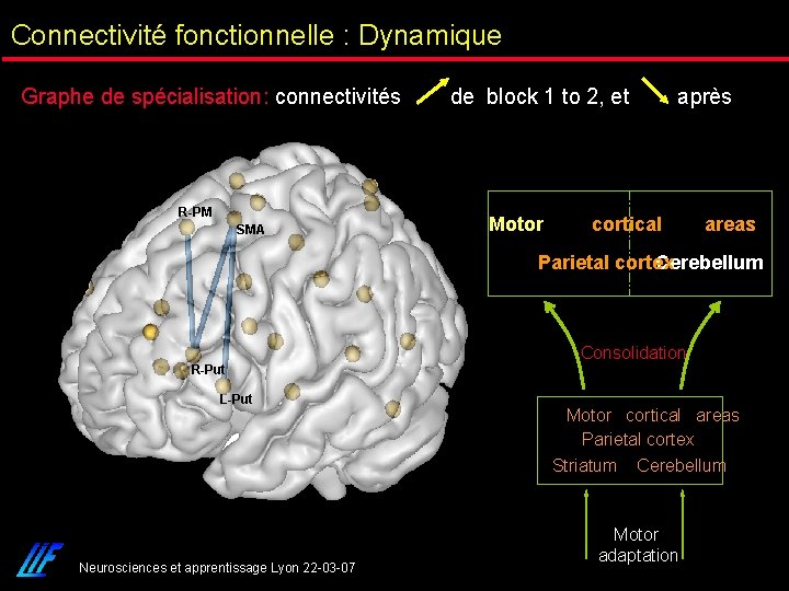 Connectivité fonctionnelle : Dynamique Graphe de spécialisation: connectivités R-PM SMA de block 1 to