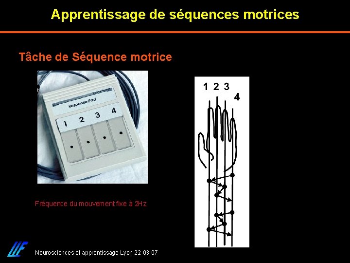 Apprentissage de séquences motrices Tâche de Séquence motrice Fréquence du mouvement fixe à 2