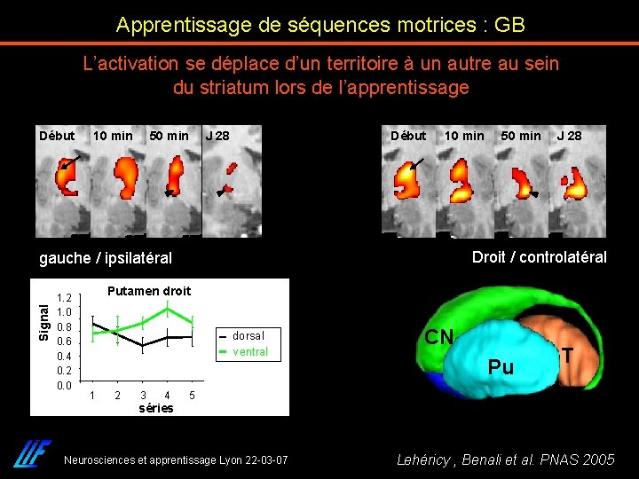 Apprentissage de séquences motrices : GB L’activation se déplace d’un territoire à un autre