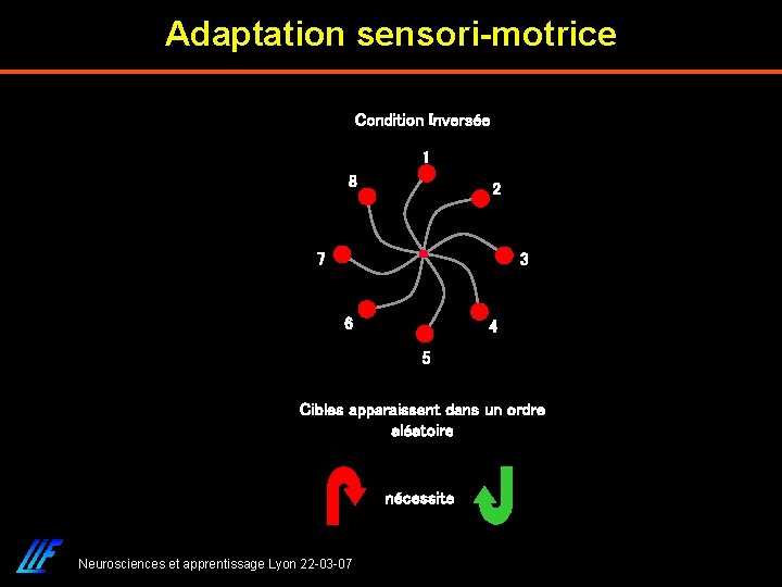 Adaptation sensori-motrice Condition Inversée 1 8 2 7 3 6 4 5 Cibles apparaissent