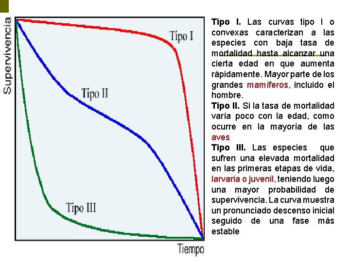 Tipo I. Las curvas tipo I o convexas caracterizan a las especies con baja