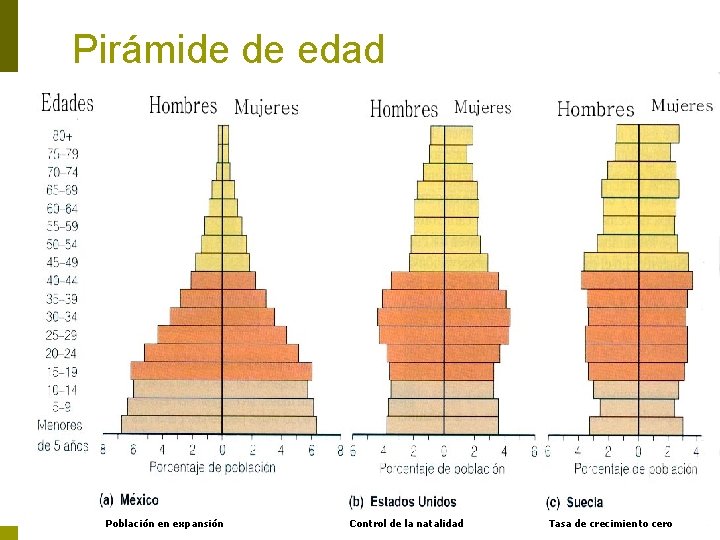 Pirámide de edad Población en expansión Control de la natalidad Tasa de crecimiento cero