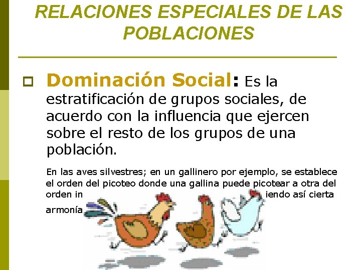 RELACIONES ESPECIALES DE LAS POBLACIONES p Dominación Social: Es la estratificación de grupos sociales,