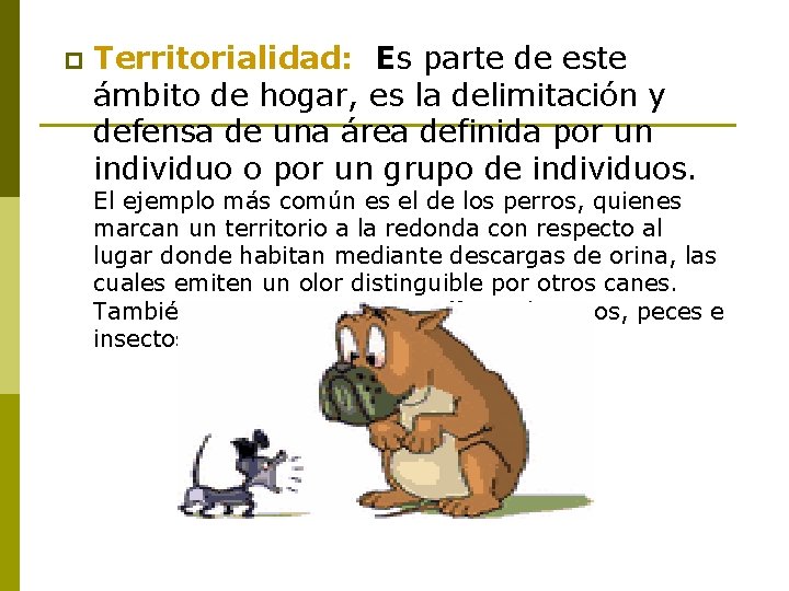 p Territorialidad: Es parte de este ámbito de hogar, es la delimitación y defensa