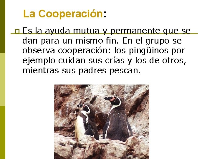 La Cooperación: p Es la ayuda mutua y permanente que se dan para un