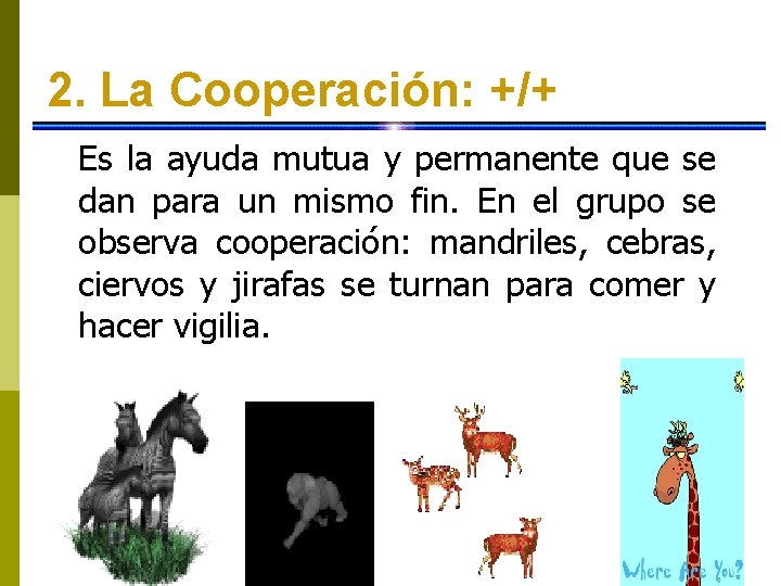 2. La Cooperación: +/+ Es la ayuda mutua y permanente que se dan para