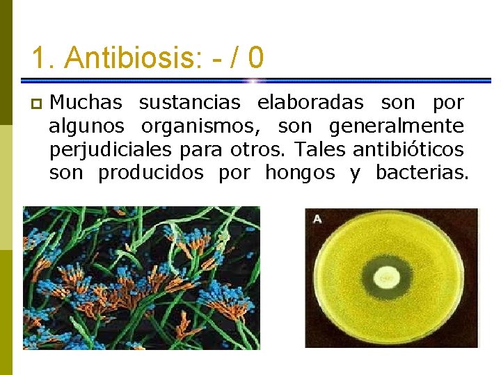 1. Antibiosis: - / 0 p Muchas sustancias elaboradas son por algunos organismos, son