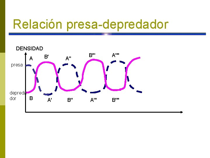 Relación presa-depredador DENSIDAD A B' A'' B''' A'''' presa depreda B dor A' B''