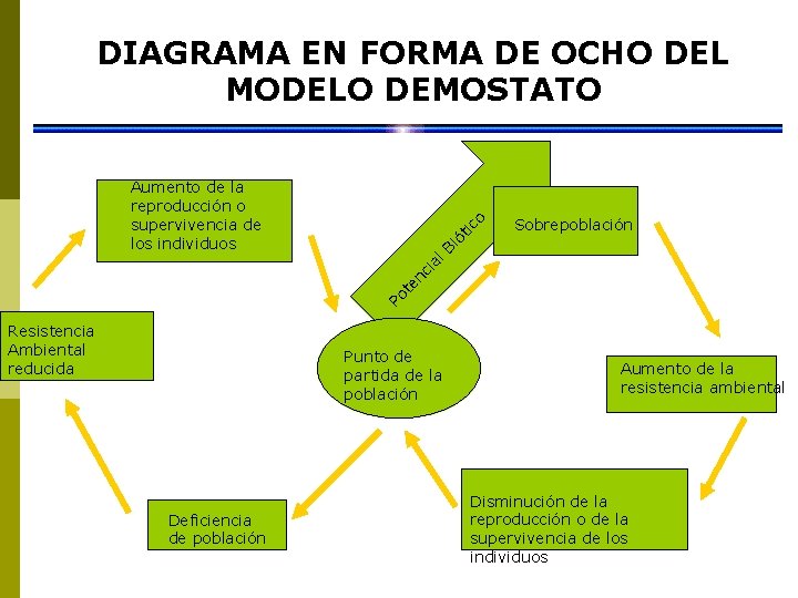 DIAGRAMA EN FORMA DE OCHO DEL MODELO DEMOSTATO Sobrepoblación Po te nc ia l