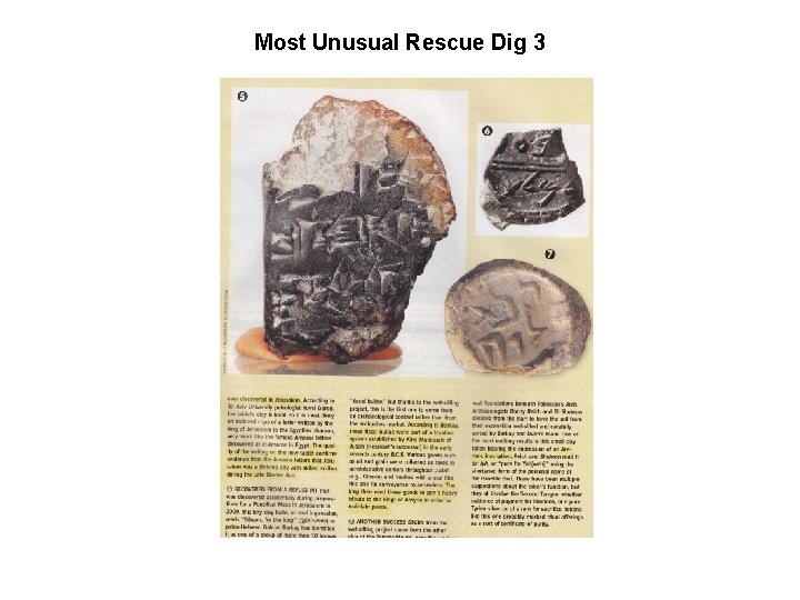 Most Unusual Rescue Dig 3 