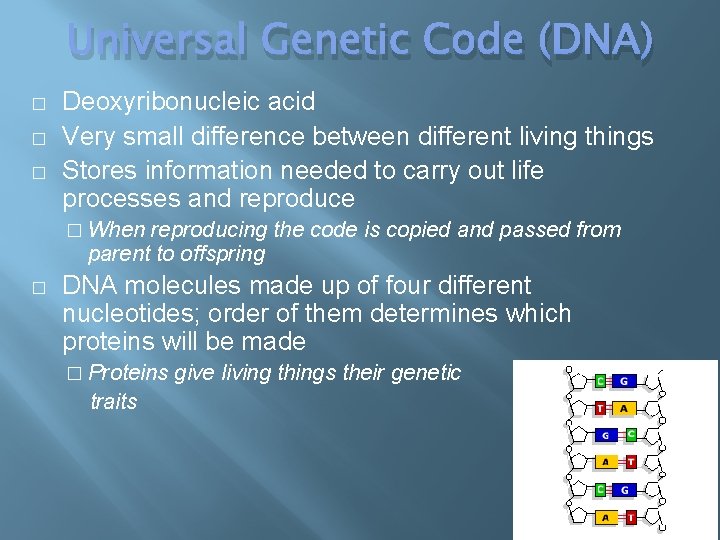 Universal Genetic Code (DNA) � � � Deoxyribonucleic acid Very small difference between different