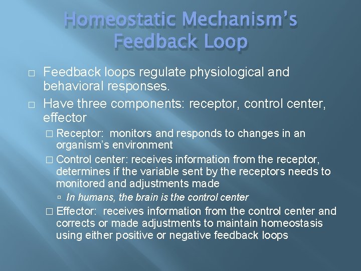 Homeostatic Mechanism’s Feedback Loop � � Feedback loops regulate physiological and behavioral responses. Have