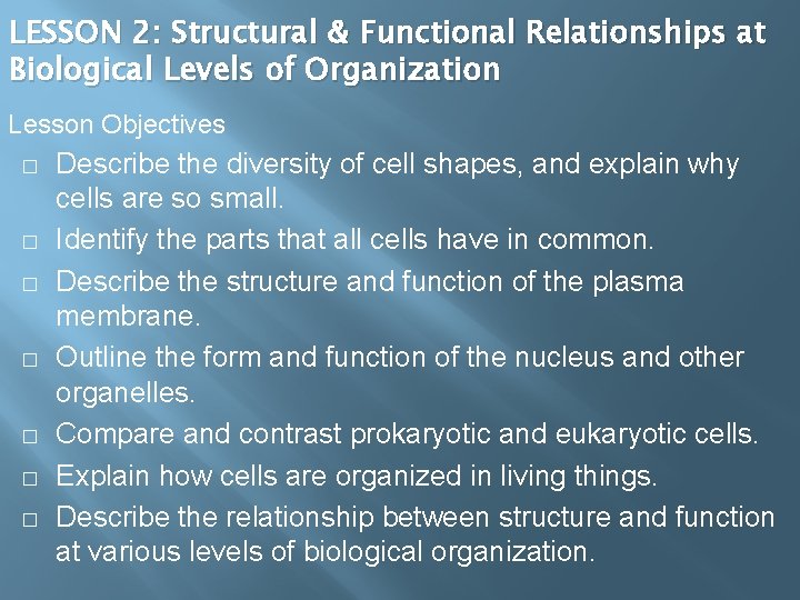 LESSON 2: Structural & Functional Relationships at Biological Levels of Organization Lesson Objectives �