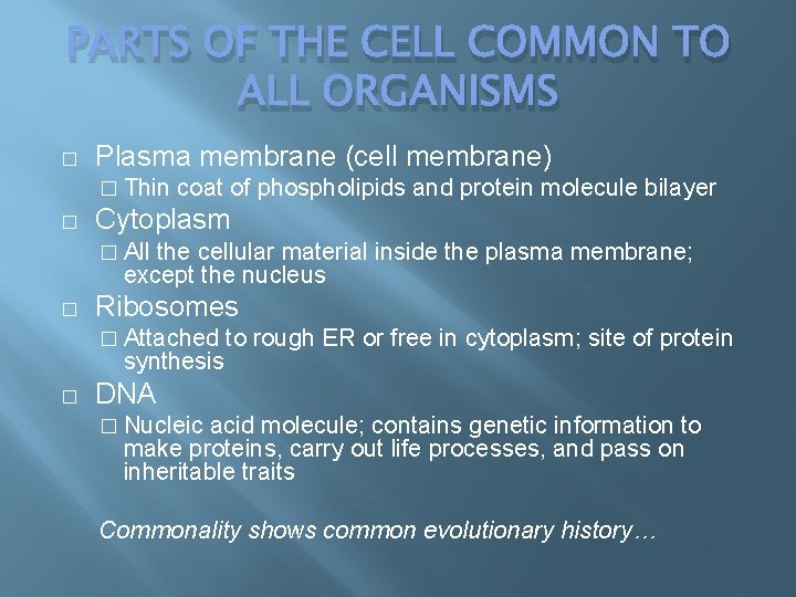 PARTS OF THE CELL COMMON TO ALL ORGANISMS � Plasma membrane (cell membrane) �