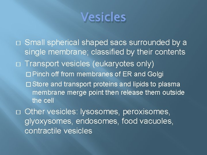 Vesicles � � Small spherical shaped sacs surrounded by a single membrane; classified by