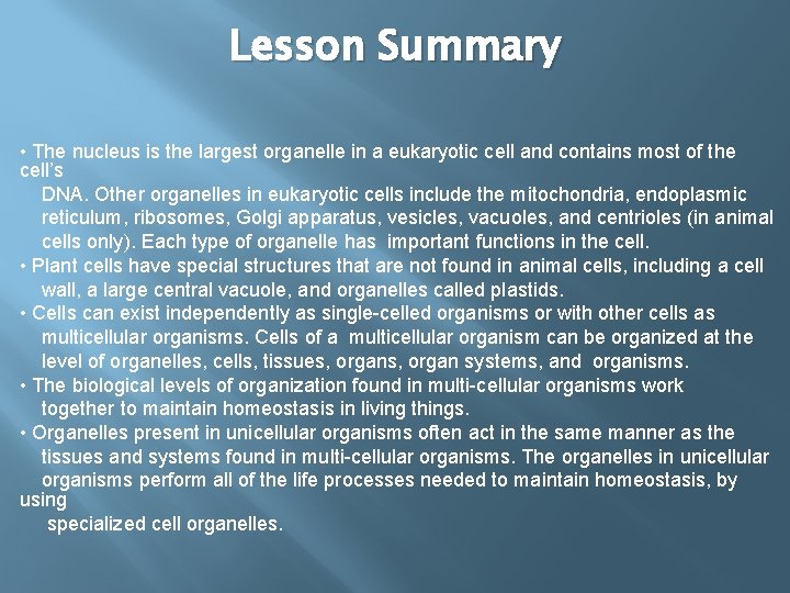 Lesson Summary • The nucleus is the largest organelle in a eukaryotic cell and