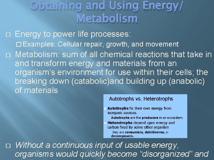 Obtaining and Using Energy/ Metabolism � Energy to power life processes: � Examples: Cellular