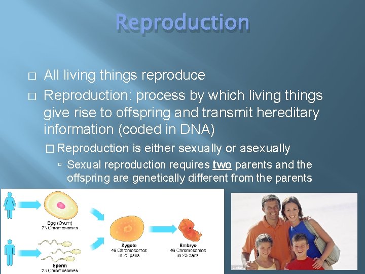 Reproduction � � All living things reproduce Reproduction: process by which living things give