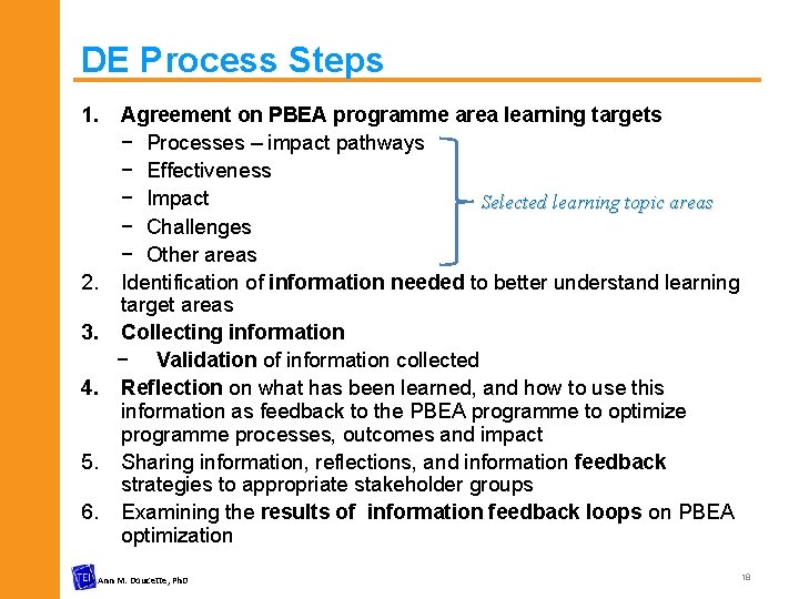 DE Process Steps 1. 2. 3. 4. 5. 6. Agreement on PBEA programme area