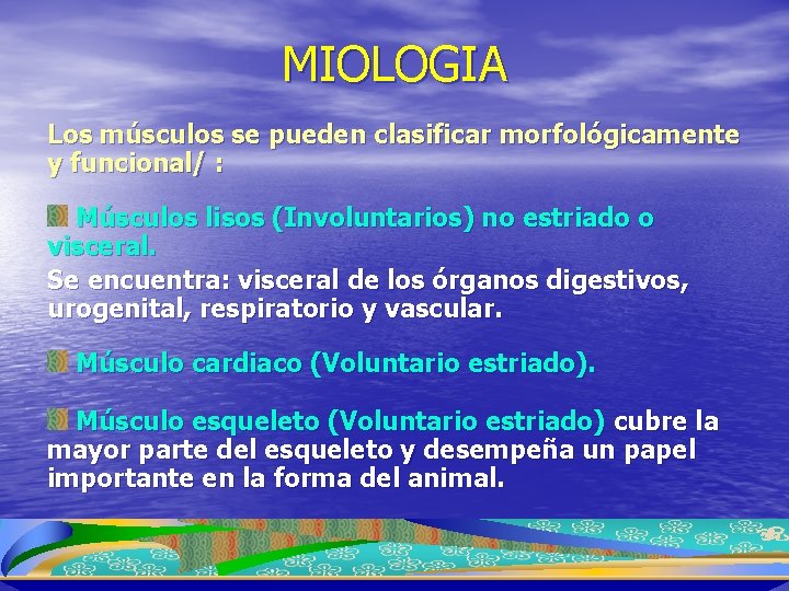 MIOLOGIA Los músculos se pueden clasificar morfológicamente y funcional/ : Músculos lisos (Involuntarios) no
