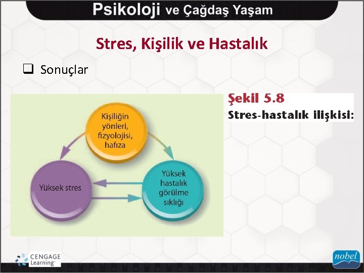 Stres, Kişilik ve Hastalık q Sonuçlar 