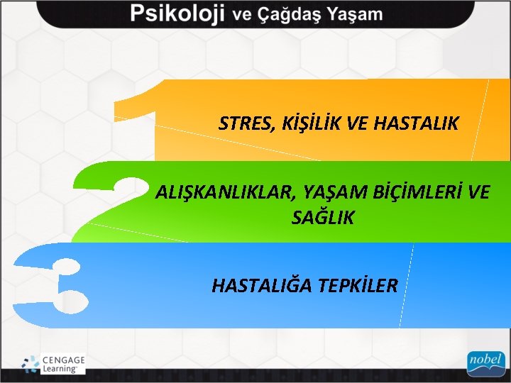 STRES, KİŞİLİK VE HASTALIK ALIŞKANLIKLAR, YAŞAM BİÇİMLERİ VE SAĞLIK HASTALIĞA TEPKİLER 