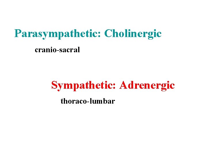 Parasympathetic: Cholinergic cranio-sacral Sympathetic: Adrenergic thoraco-lumbar 