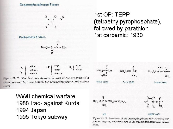 1 st OP: TEPP (tetraethylpyrophosphate), followed by parathion 1 st carbamic: 1930 WWII chemical