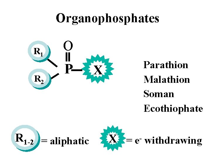 Organophosphates R 1 R 2 O P R 1 -2 = aliphatic X Parathion