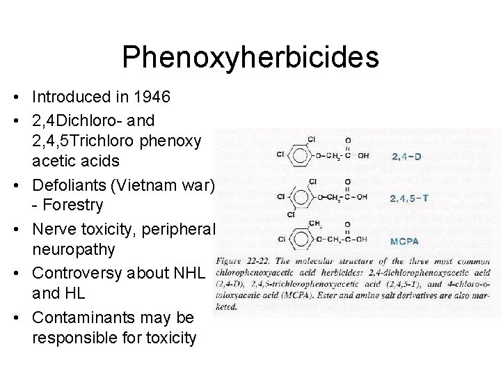 Phenoxyherbicides • Introduced in 1946 • 2, 4 Dichloro- and 2, 4, 5 Trichloro
