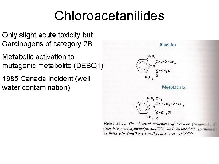 Chloroacetanilides Only slight acute toxicity but Carcinogens of category 2 B Metabolic activation to