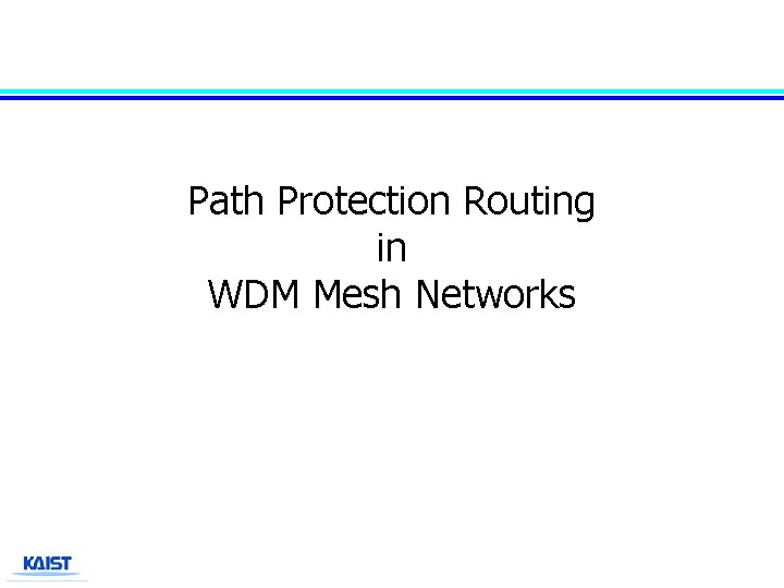 Path Protection Routing in WDM Mesh Networks 