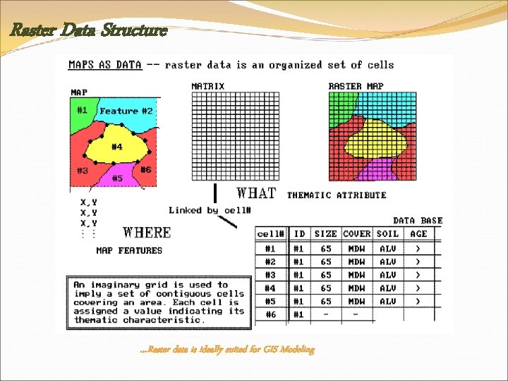 Raster Data Structure …Raster data is ideally suited for GIS Modeling 