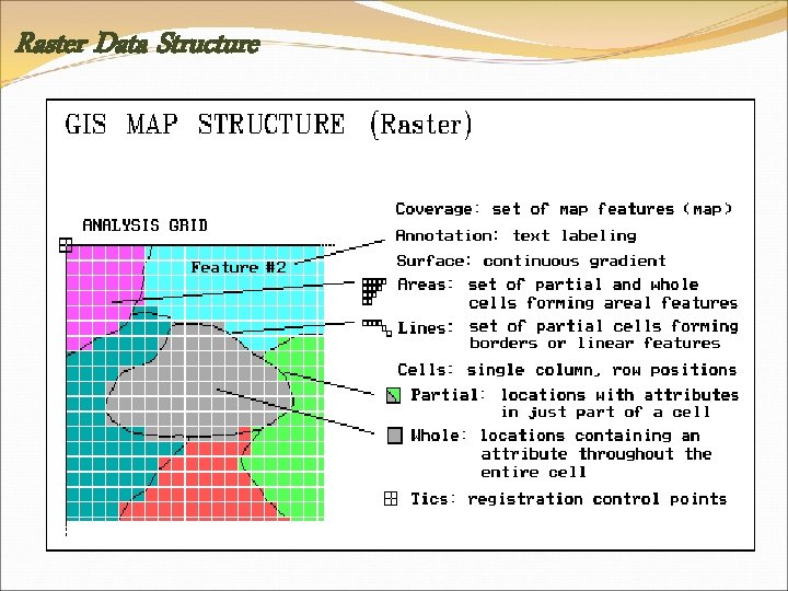 Raster Data Structure 