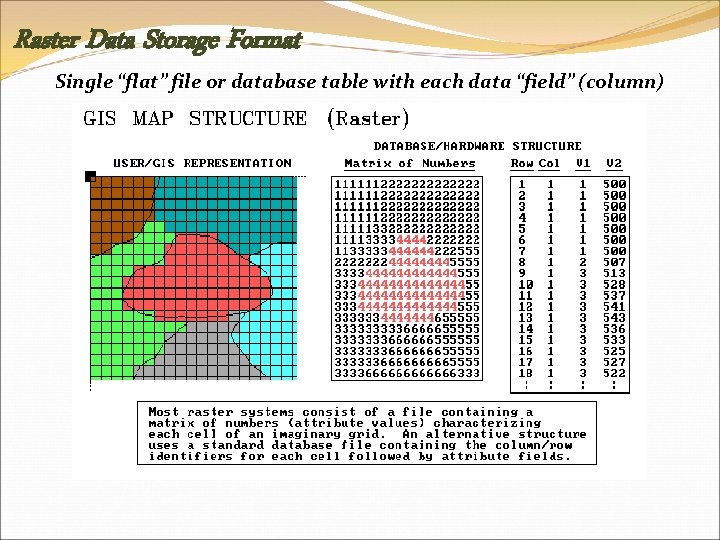 Raster Data Storage Format Single “flat” file or database table with each data “field”