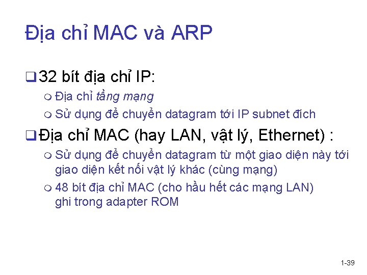 Địa chỉ MAC và ARP q 32 bít địa chỉ IP: m Địa chỉ