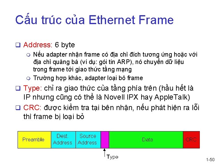 Cấu trúc của Ethernet Frame q Address: 6 byte m Nếu adapter nhận frame