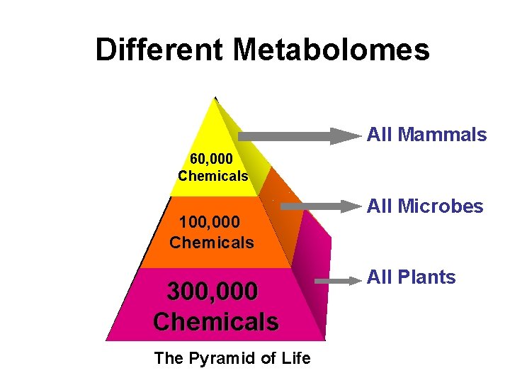 Different Metabolomes All Mammals 60, 000 Chemicals 100, 000 Chemicals 300, 000 Chemicals The
