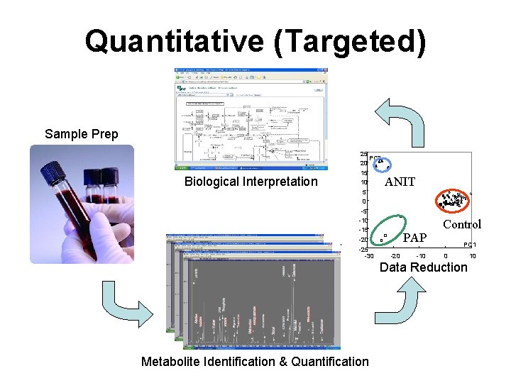Quantitative (Targeted) Sample Prep Biological Interpretation 25 PC 2 20 15 10 5 ANIT Quantitative (Targeted) Sample Prep Biological Interpretation 25 PC 2 20 15 10 5 ANIT