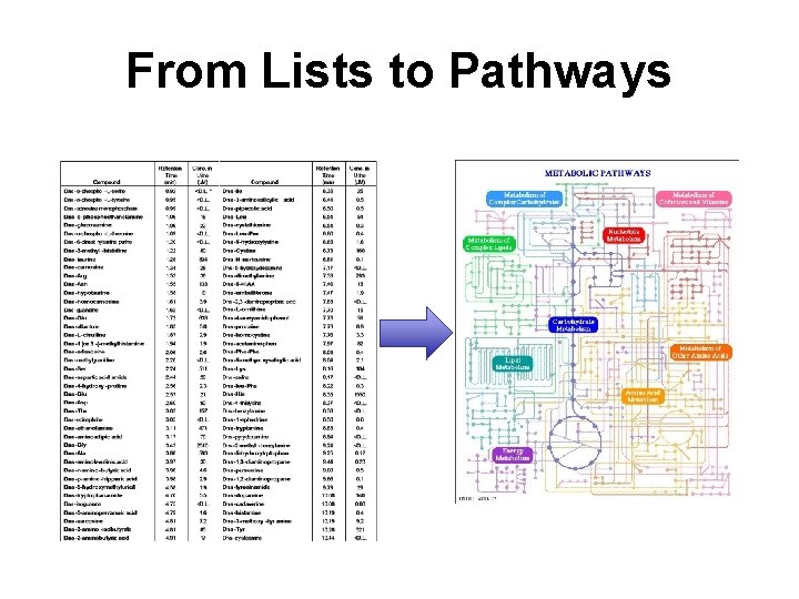 From Lists to Pathways 